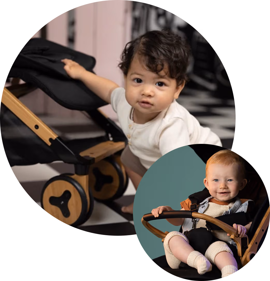 mozomoza-panda-kaufen